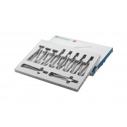 Set of tooth forceps