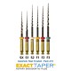 SS White ExactTaper H Rotary Endodontic Files