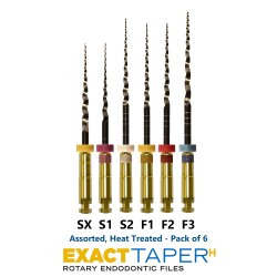 SS White ExactTaper H Rotary Endodontic Files