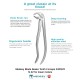 Medesy Blade Beak Tooth Extraction Forceps 2400/22 N.22 for lower molars