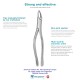 American Pattern No. 69 Extracting Forceps for Upper Roots and Fragments 2650/69 N. 69